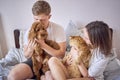 young couple spending time with their animals, a red cat and a cockapoo girl, playing and laughing Royalty Free Stock Photo