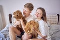 young couple spending time with their animals, a red cat and a cockapoo girl, playing and laughing Royalty Free Stock Photo