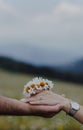 Young couple standing in a lush, green meadow, hands clasped in an intimate embrace. Royalty Free Stock Photo