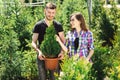Young couple standing together, holding a pot with a small fir tree and looking at a plant in the garden center Royalty Free Stock Photo