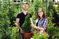 Young couple standing together, holding a pot with a small fir tree and looking at a plant in the garden center Royalty Free Stock Photo