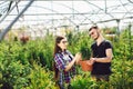 Young couple standing together, holding a pot with a small fir tree and looking at a plant in the garden center Royalty Free Stock Photo