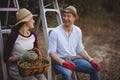 Young couple talking while sitting on ladders at olive farm Royalty Free Stock Photo