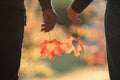 Young couple are together and holding leafs with hearts during warm and sunny autumn evening