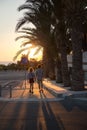Young couple walking along the road under palm trees during sunset Royalty Free Stock Photo