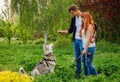 A young couple walking a dog in the park Royalty Free Stock Photo