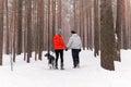 Young couple walking a dog in the winter forest Royalty Free Stock Photo