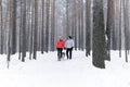 Young couple walking a dog in the winter forest Royalty Free Stock Photo