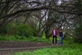 Young couple walking on forest path beneath tree big branches