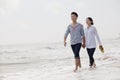 Young couple walking and holding hands by the waters edge on the beach, China