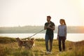 Young couple walking their adorable Akita Inu dogs
