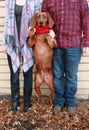 Young couple wearing plaid and boots take a holiday photo with their red bone coon dog in a red scarf outdoors in the leaves