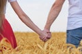 Young couple in wheat field holding hands. Rear view. Close up Royalty Free Stock Photo