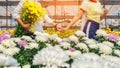 Young couples, men and women shake hands in the flower garden Royalty Free Stock Photo