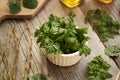 Young cow parsley leaves on a table - wild edible plant harvested in winter Royalty Free Stock Photo