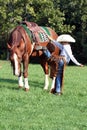 Young cowboy mounting horse