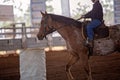 Young Cowboy Rides Horse In Barrel Racing Event At Rodeo