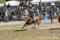 Young cowboy riding bull bareback at a rural rodeo