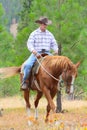 Young cowboy Royalty Free Stock Photo