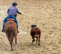 Young cowboy roping a calf in Rodeo show