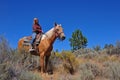 Young Cowgirl