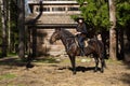 Young cowgirl on brown horse Royalty Free Stock Photo