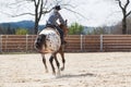 Young cowgirl riding a beautiful paint horse in a barrel racing event at a rodeo. Royalty Free Stock Photo