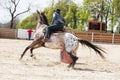 Young cowgirl riding a beautiful paint horse in a barrel racing event at a rodeo. Royalty Free Stock Photo