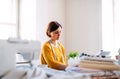 Young creative woman in a studio, startup of small tailoring business. Royalty Free Stock Photo