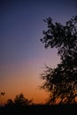 Young crescent moon on a clear sky at the end of the day in the summer Royalty Free Stock Photo