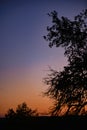 Young crescent moon on a clear sky at the end of the day in the summer Royalty Free Stock Photo