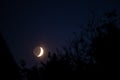 young crescent moon with the dark side in sight Royalty Free Stock Photo