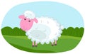 Young cute curly sheep. Cartoon character lamb on green lawn landscape. Template of cute farm animal