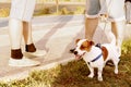 Young cute jack russel terrier standing at the male feet. Dog walking with owner outside. Selective focus Royalty Free Stock Photo