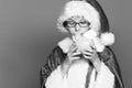 Young cute santa claus boy with glasses in red sweater and new year christmas hat holding and kissing pink piggy pig