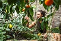 Young cute smiling woman in park with oranges, lifestyle concept green spring Royalty Free Stock Photo