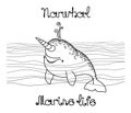 Young cute spotted narwhal with baby face, smile emotions, for logo or emblem, marine waves