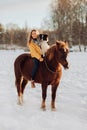 Young happy cute smiling woman with her dog border collie sit on horse in snow field on sunset. yrllow dress Royalty Free Stock Photo