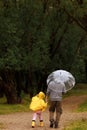 Father and daughter walking Royalty Free Stock Photo