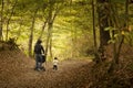 Young dad and little baby girl walking together in the woods in Royalty Free Stock Photo