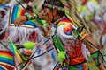 Young dancer among the colors of the 49th United Tribes Pow Wow