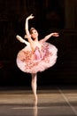 Young dancers ballerinas in class classical dance, ballet Royalty Free Stock Photo