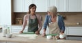 Young daughter with old mom enjoy cookery in kitchen