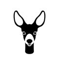 Young deer head vector illustration Royalty Free Stock Photo