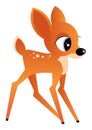 Young deer illustration Royalty Free Stock Photo