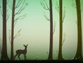 Young deer in spring or summer forest, nature scene, Royalty Free Stock Photo
