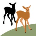 Young deer vector illustration style Flat set silhouette black Royalty Free Stock Photo