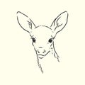 Young deer vector silhouette. fawn, vector sketch illustration Royalty Free Stock Photo