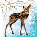 Young deer in a winter forest, vector illustration Royalty Free Stock Photo