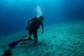 Young diver sits on sandy bottom on knees and carefully looking at something hiding under bottom surface - probably some fish or Royalty Free Stock Photo